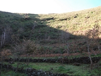 nte Mojo-30122011 044